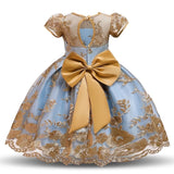 Elegant Lace Embroidery Girl's Dress